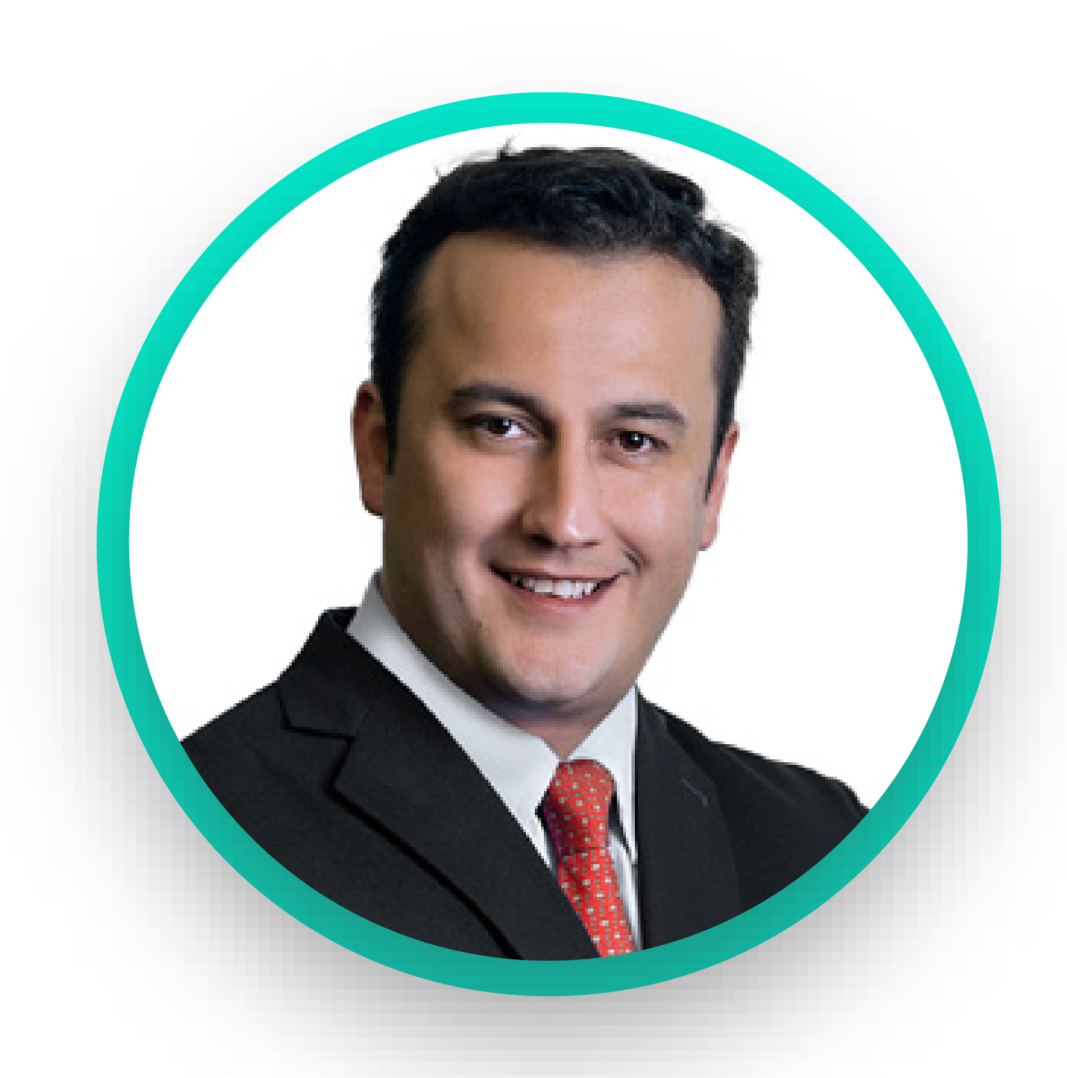 Descripción de la imagen